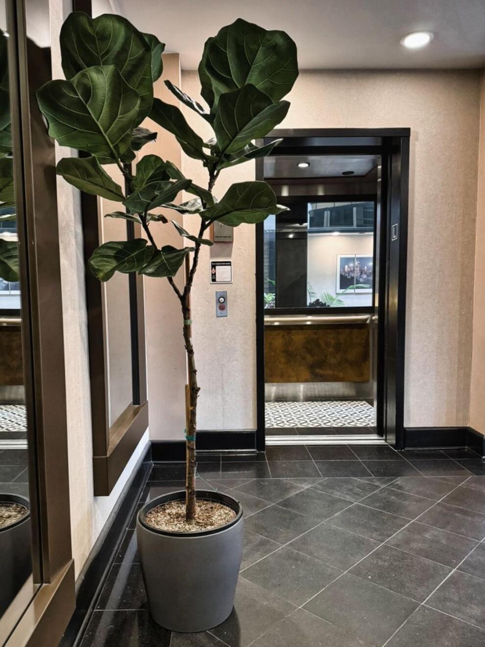 Hotel International Lynnwood Dış mekan fotoğraf
